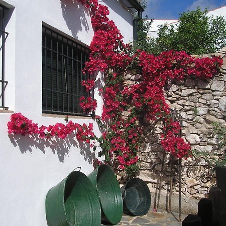 Casa Rural Y Restaurante Casa Adriano Pensionat Alanís Exteriör bild